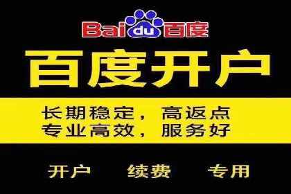 SEM实战案例：案例分析广告效果评估
